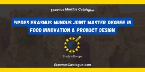 FIPDes Erasmus Mundus